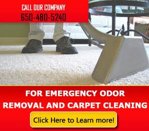 Blog | Do You Want Mold Removal Help?