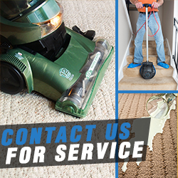 Contact Carpet Cleaning Services